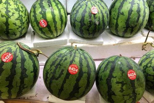 网红4小时吃瓜,揭秘娱乐圈幕后真相