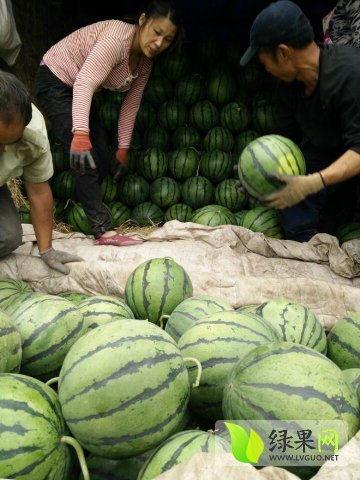 太和吃瓜网红事件最新,揭秘网络舆论的风暴与真相