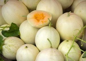 网红吃白兰瓜是真的吗,真相还是炒作？