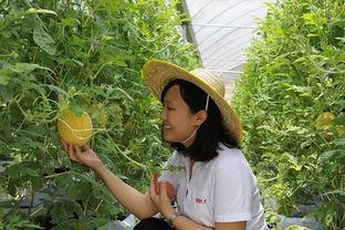 青州吃瓜网,揭秘青州美食背后的故事与风情