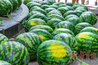 学校网红椅子吃瓜,校园生活新潮流